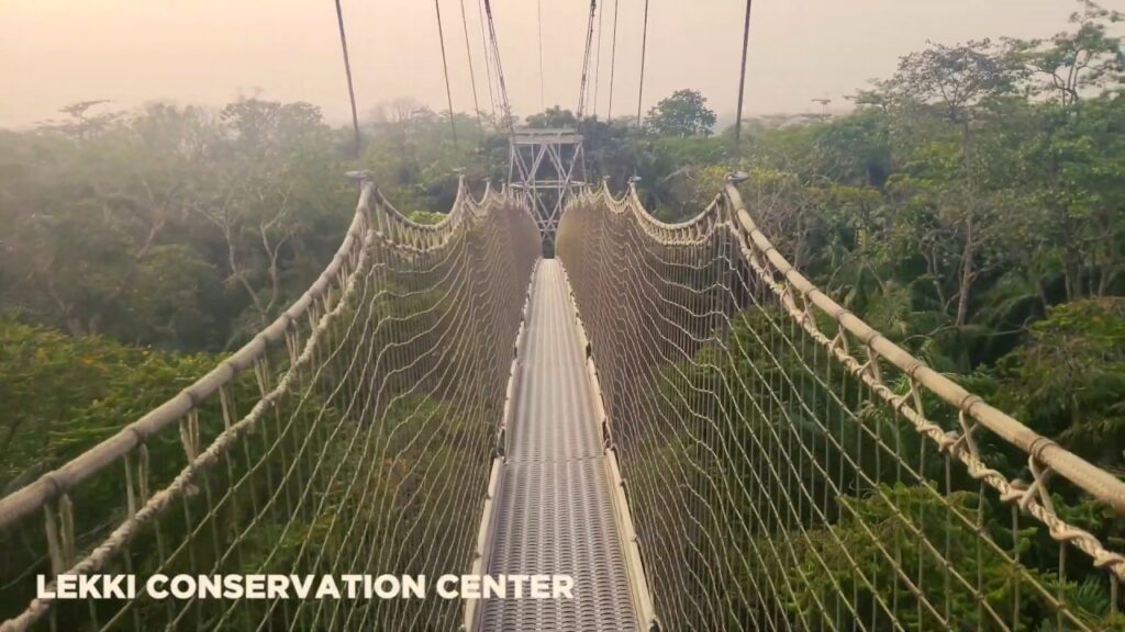 Lekki Conservation Center Lagos, fun places to visit in Lagos