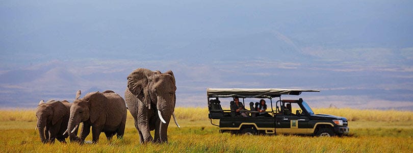 Safari tour in rwanda